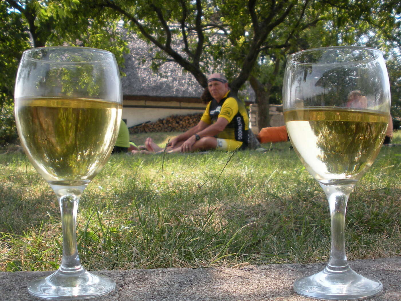 Balaton Wine and Bike