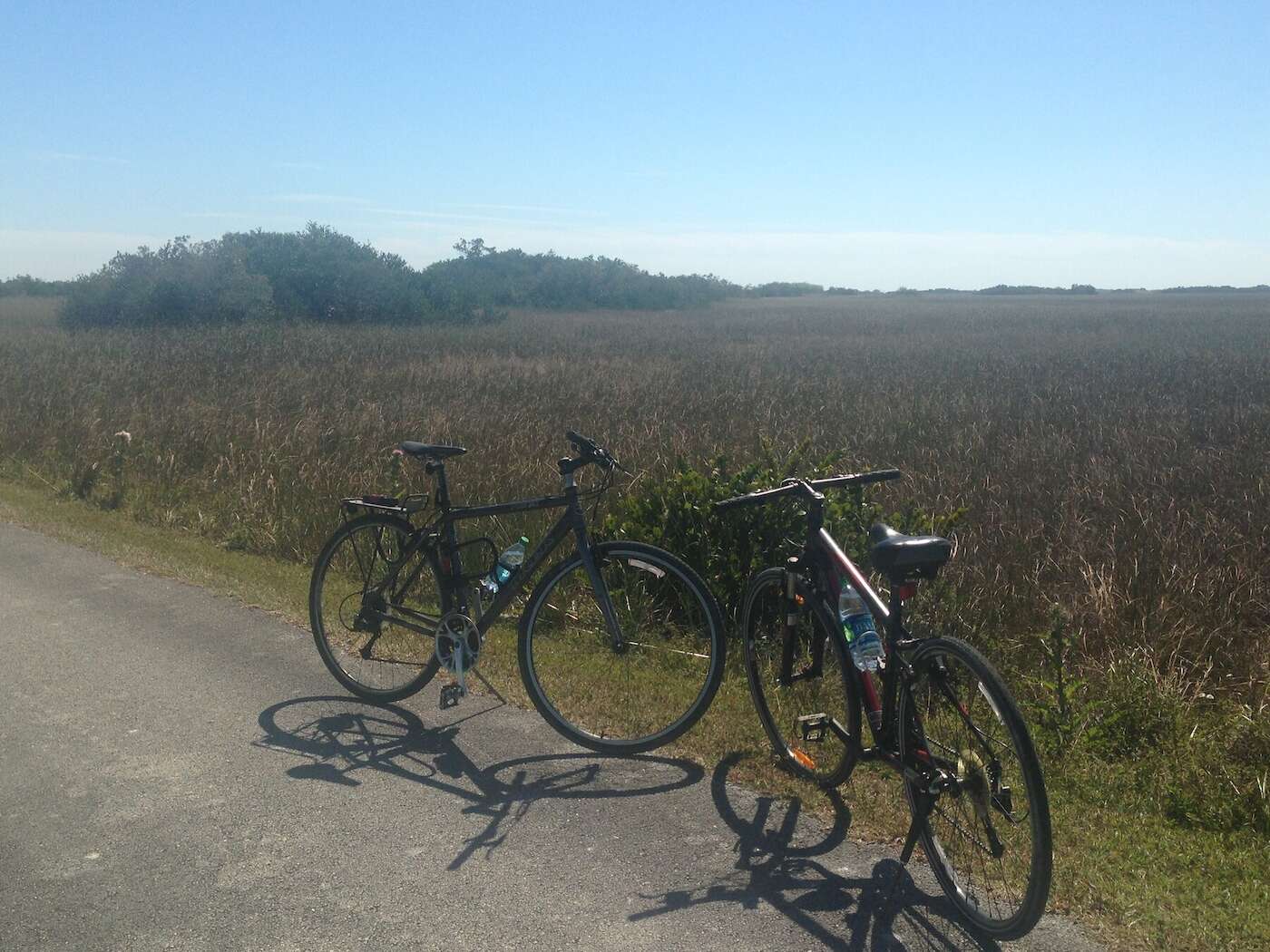 Everglades cycling tour