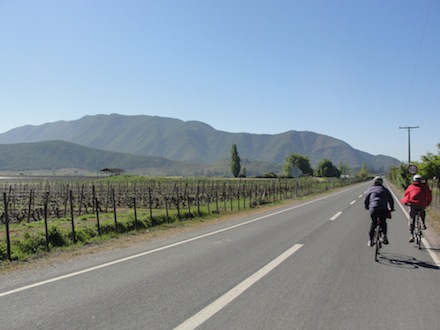 Bike and Wine Colchagua Valley 12