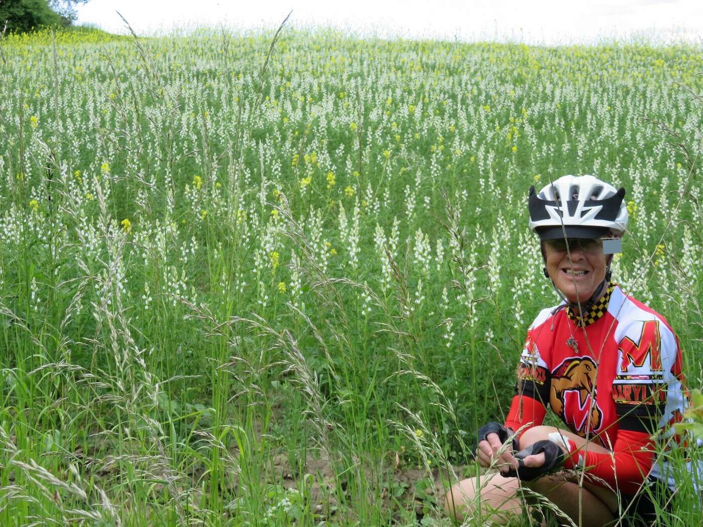Ann takes a break for a picture in the beautiful fields along the route