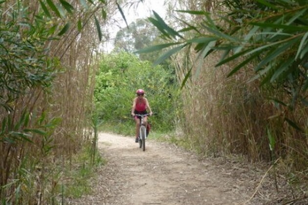 Operator Profile: Discover Coastal Portugal with Algarve Bike Holidays