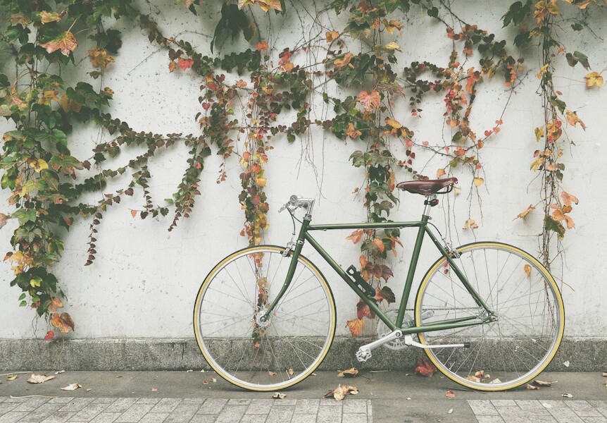 A bicycle against a wall of vines. Robin Popa@Unsplash