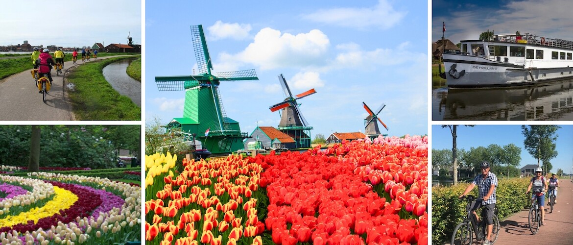 Tulip Tours: Discover the Beauty of Holland in Spring