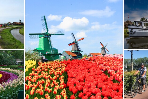 Tulip Tours: Discover the Beauty of Holland in Spring